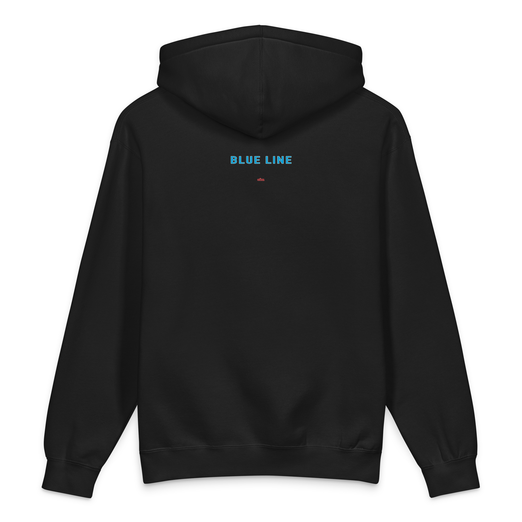 Chicago Blue Line heavyweight hoodie in black, alternate view