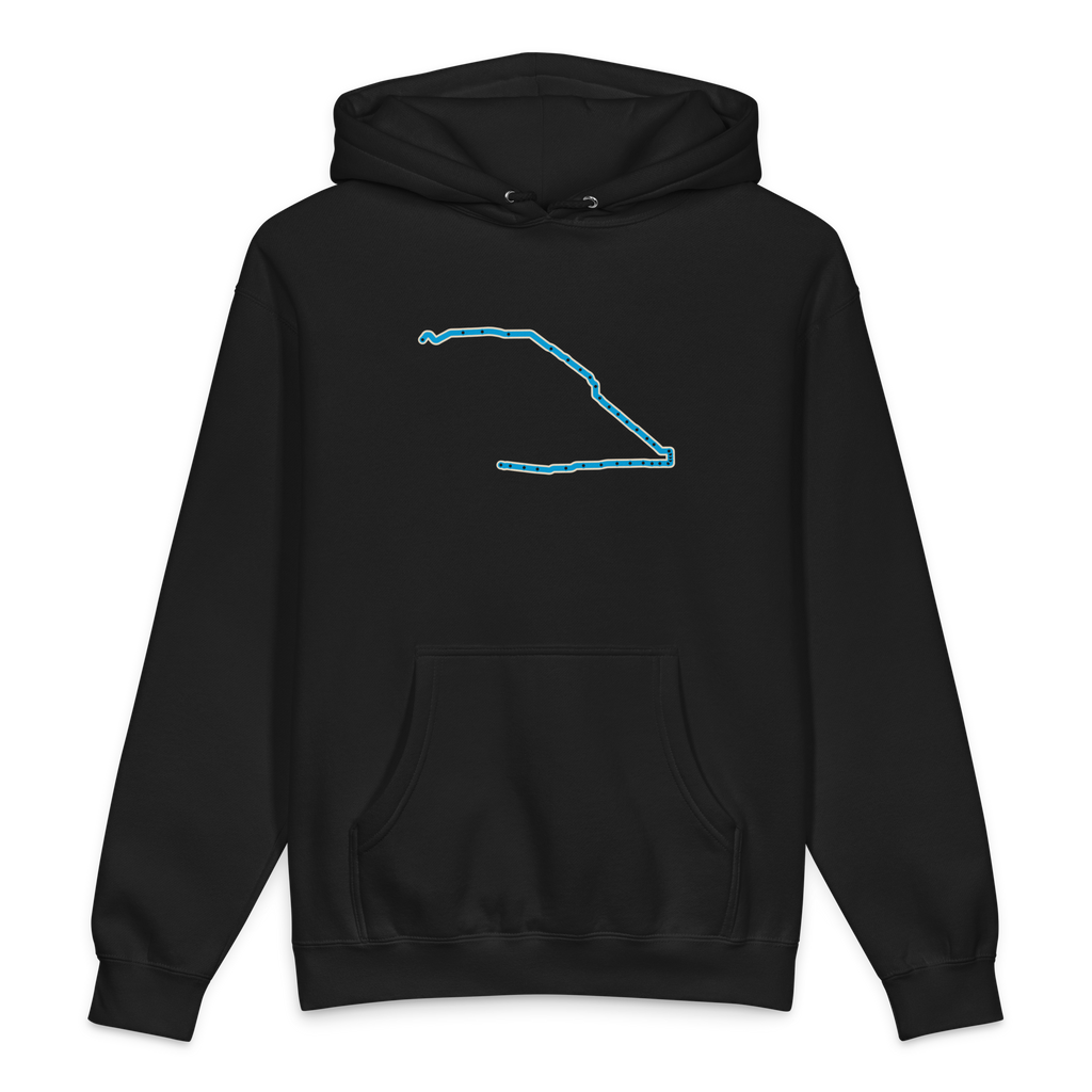 Chicago Blue Line heavyweight hoodie in black, primary view