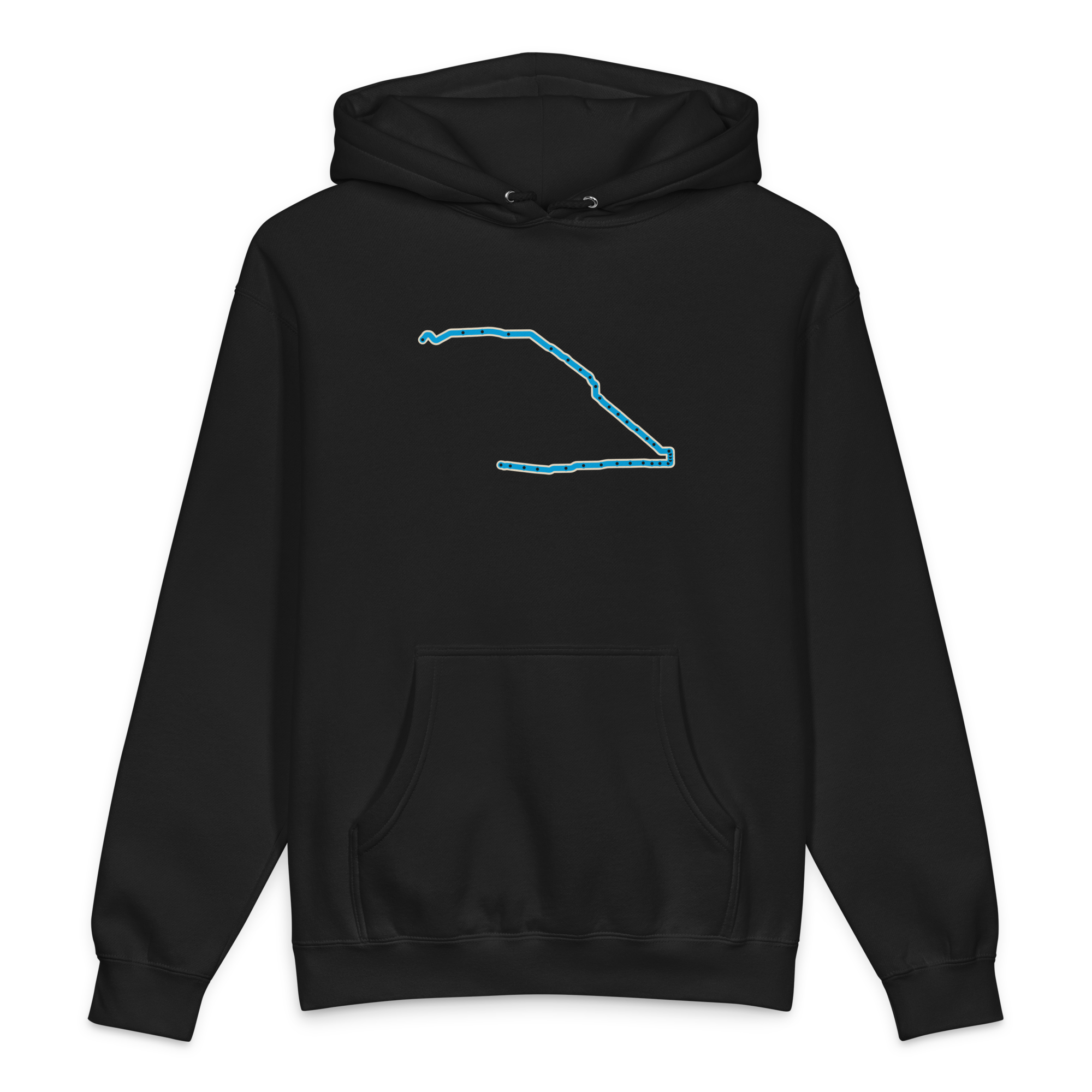 Chicago Blue Line heavyweight hoodie in black, primary view