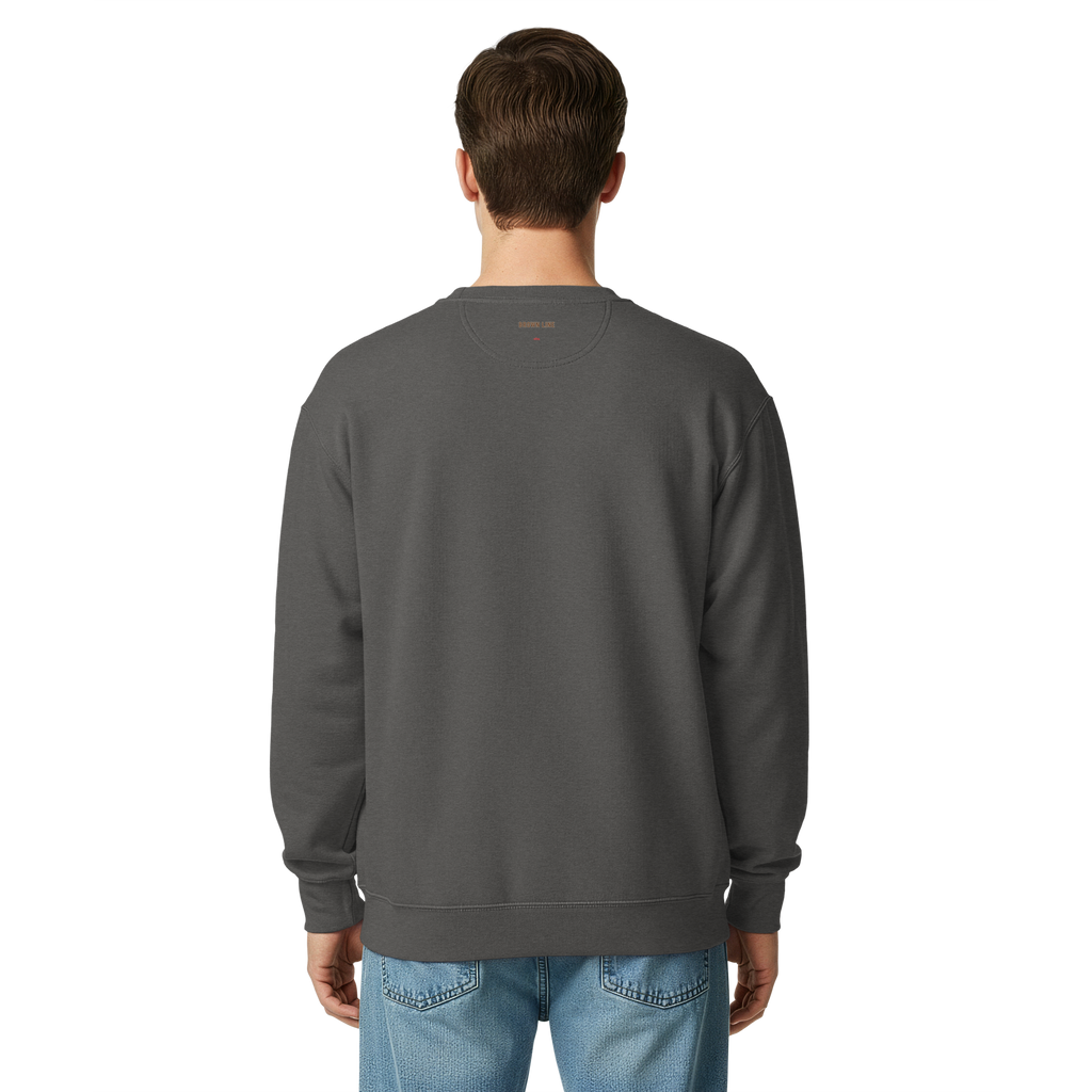 Chicago Brown Line garment-dyed crewneck in Pepper, alternate view