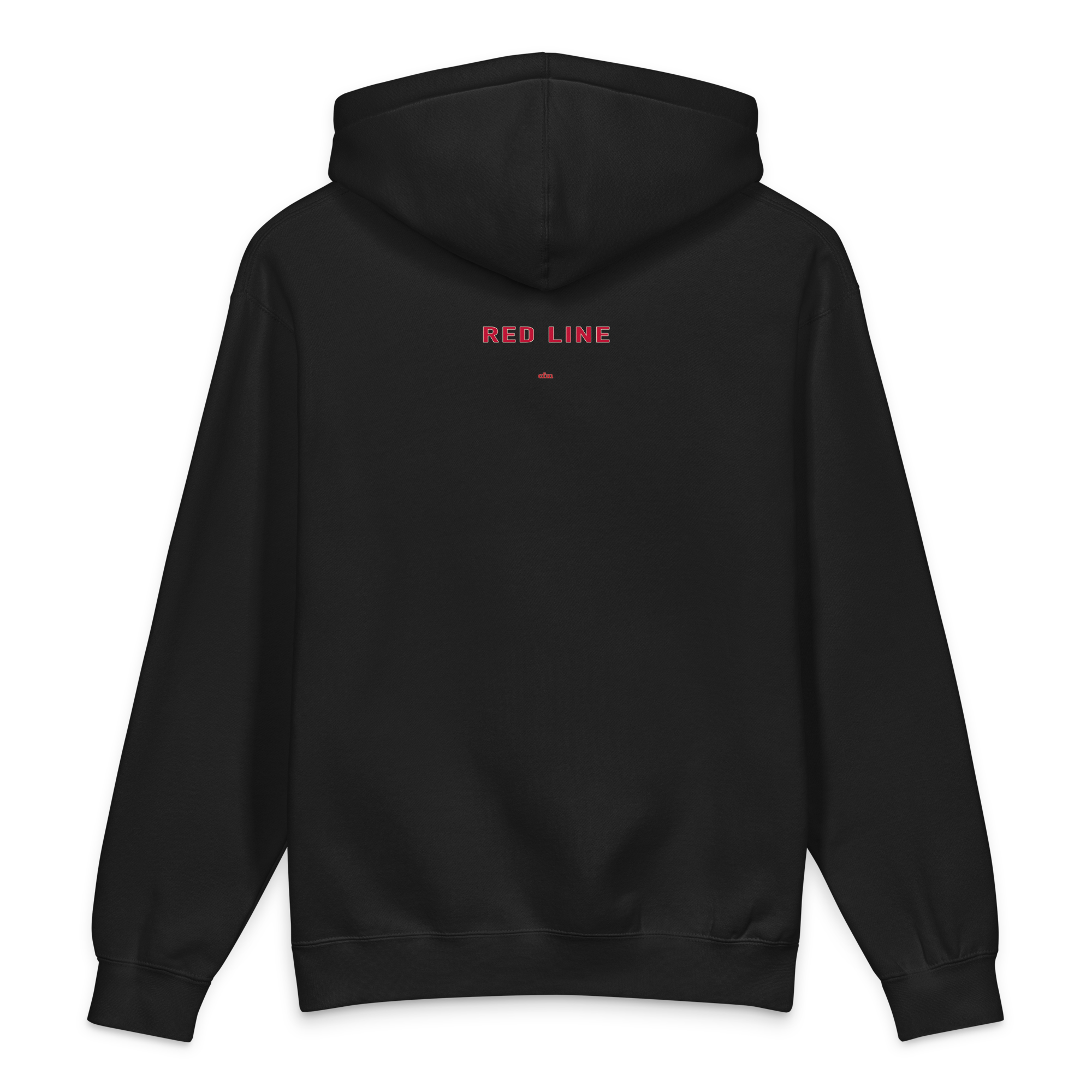 Chicago Red Line heavyweight hoodie in black, alternate view