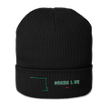 Chicago Green Line organic ribbed beanie in black, primary view