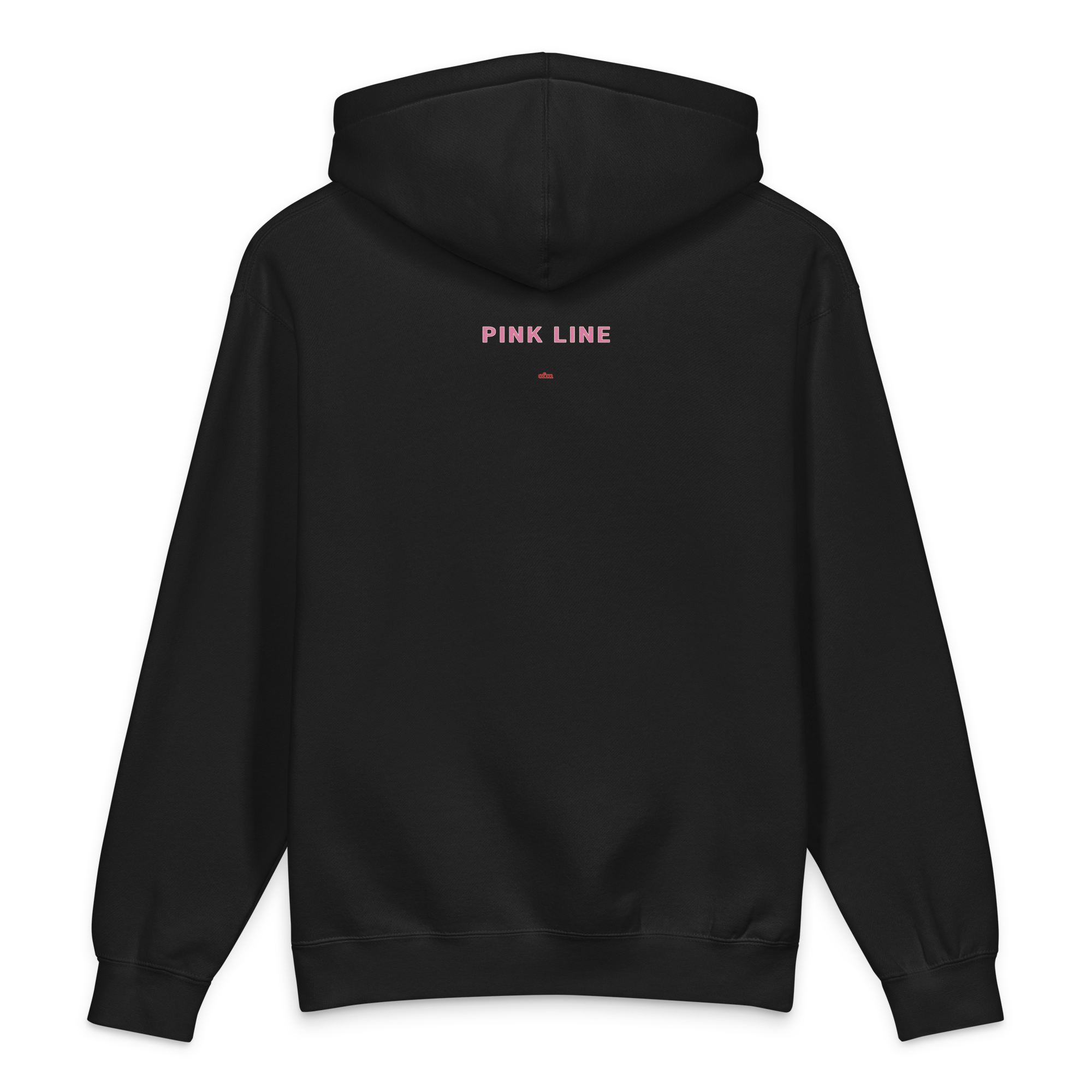 Chicago Pink Line heavyweight hoodie in black, alternate view