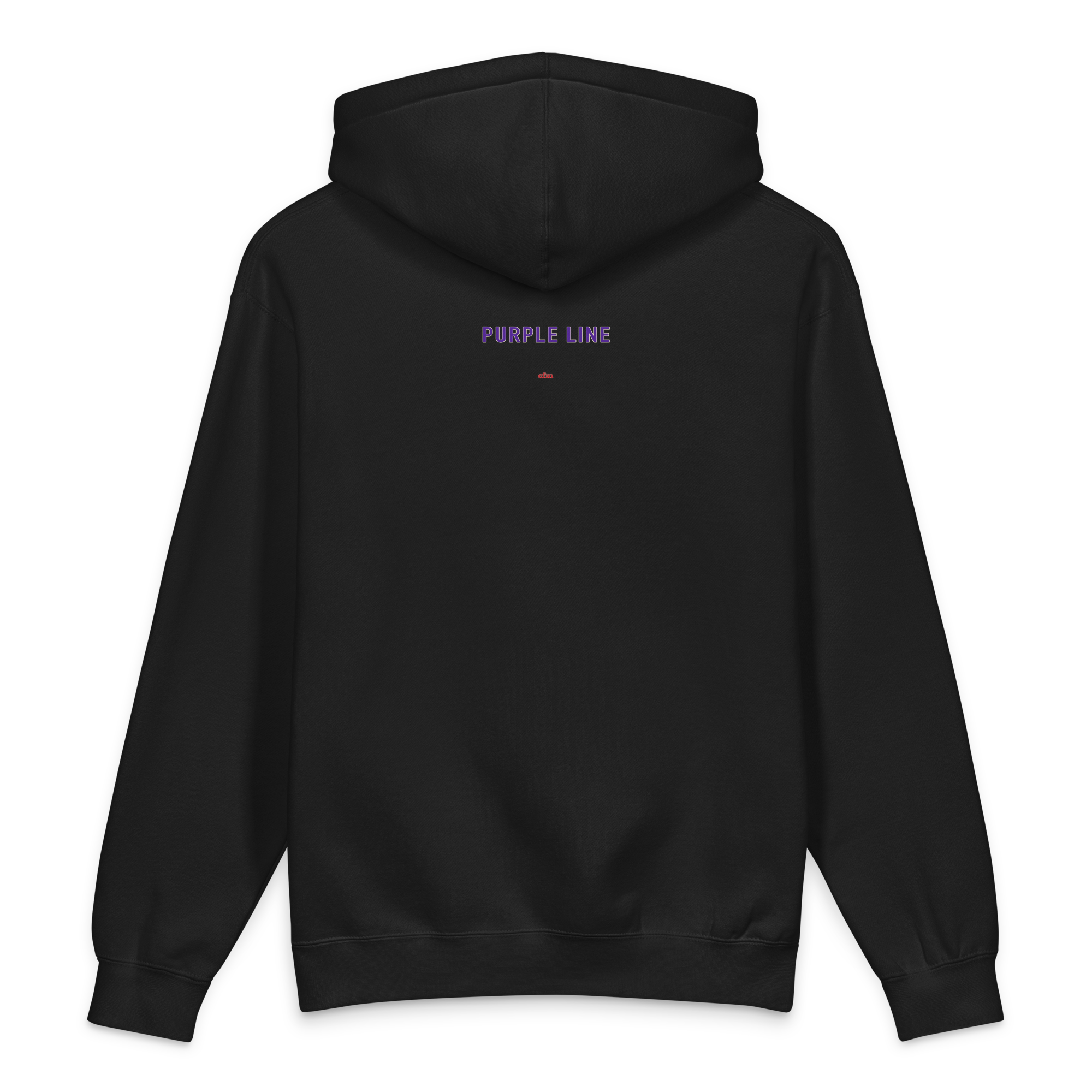 Chicago Purple Line heavyweight hoodie in black, alternate view