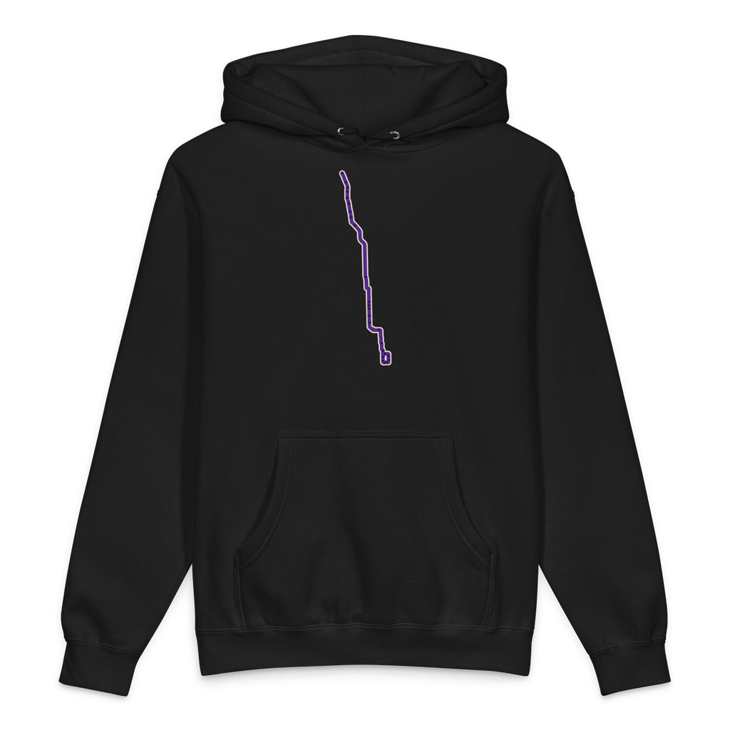 Chicago Purple Line heavyweight hoodie in black, primary view