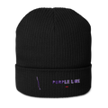 Chicago Purple Line organic ribbed beanie in black, primary view