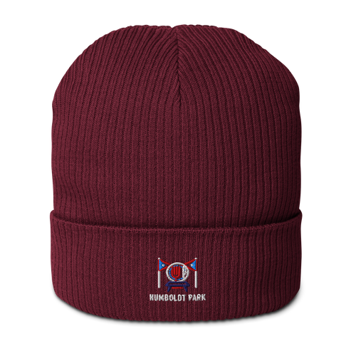 Humboldt Park organic ribbed beanie in Burgundy, front view - Chicago Neighborhood Series