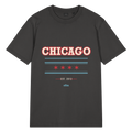 Chicago Collegiate garment-dyed T-shirt in black, primary view